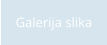 Galerija slika
